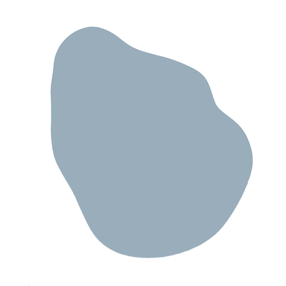 Kittiwake 307
