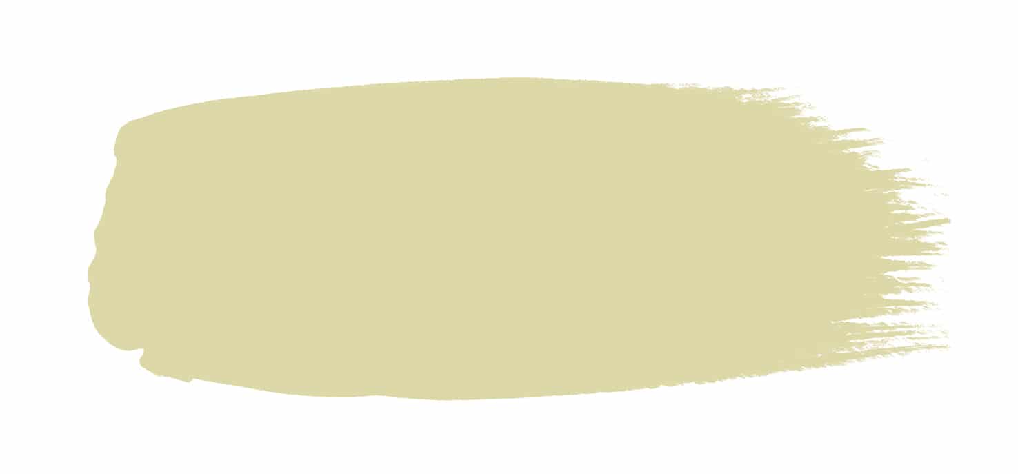Olive Oil 83