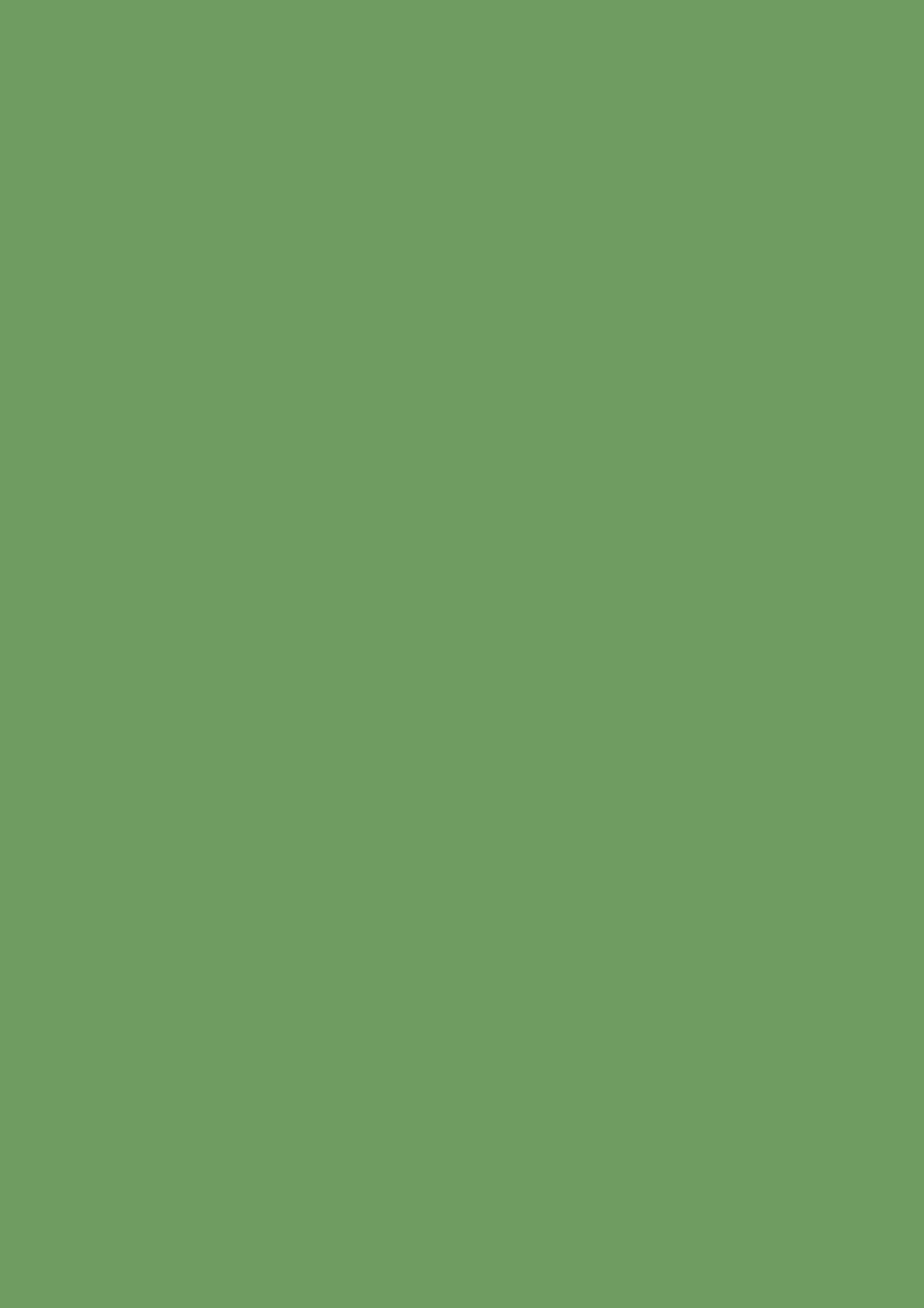 Raw Tomatillo CB6
